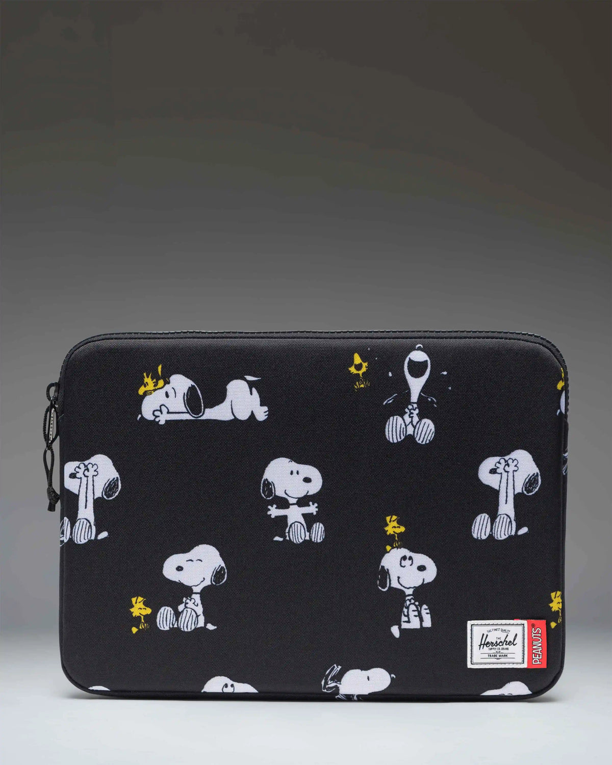 Peanuts® Anchor 14 Inch Sleeve Main image