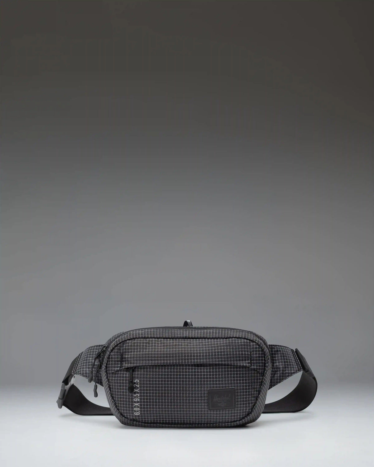 Ultralight Hip Pack 2L Main image