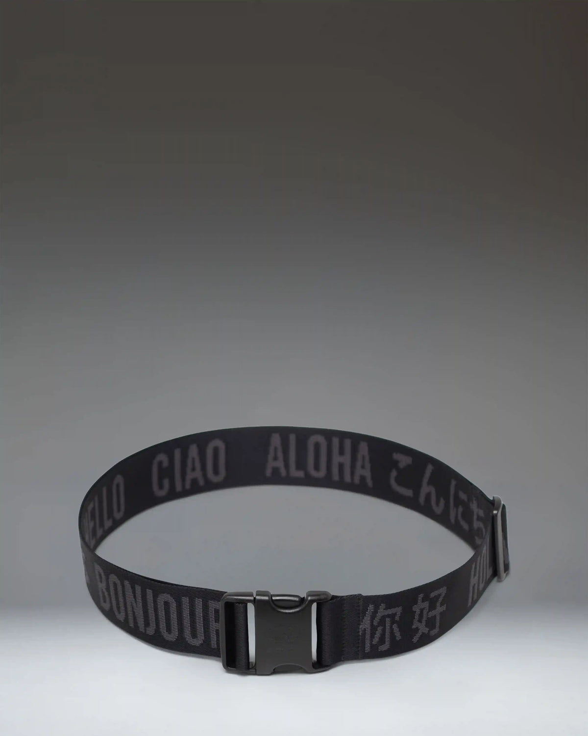 Luggage Belt Main image